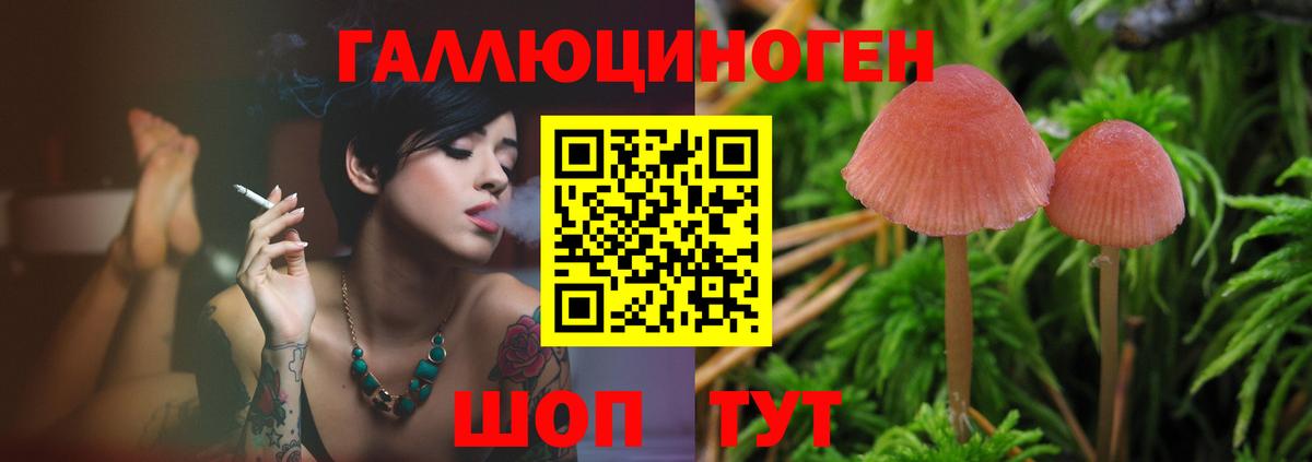 Галлюциногенные грибы Magic Shrooms Саранск