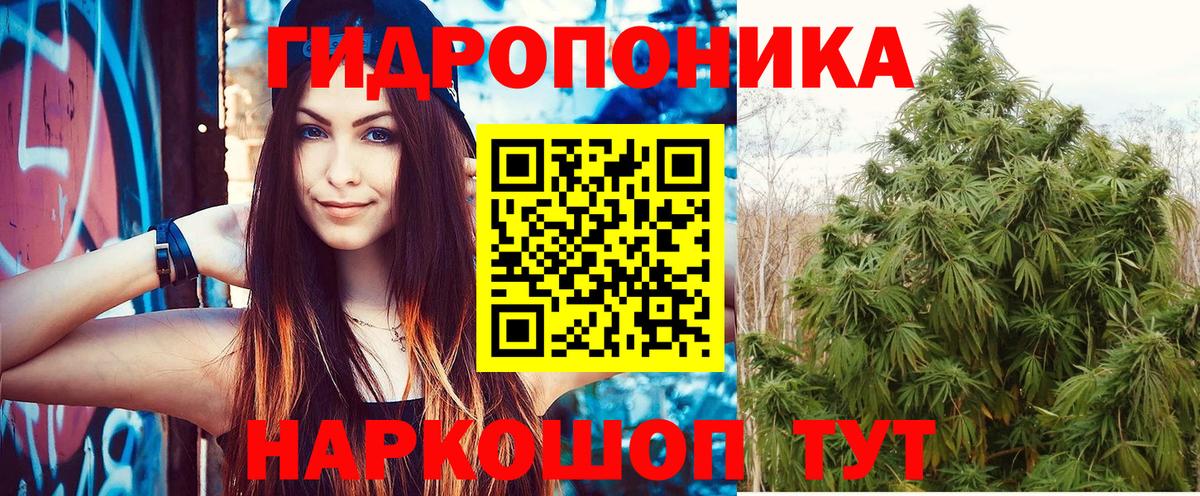 Бошки Шишки тримм  Канабис тримм  Саранск  Марихуана конопля  Вход с VPN  Каннабис VHQ 